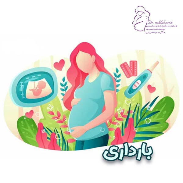 عکس بارداری - دکتر مهدیه مریدی