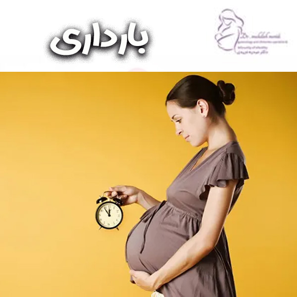 عکس بارداری - دکتر مهدیه مریدی